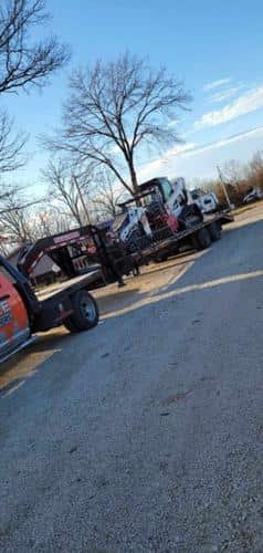 Tree Brothers LLC crew on the job
