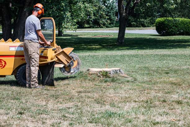 Brush Hogging